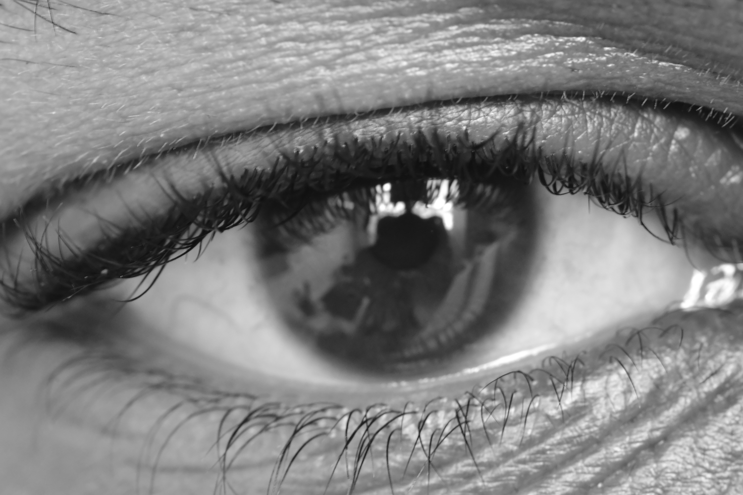 How artist and filmmaker John Akomfrah confronts the present through the past