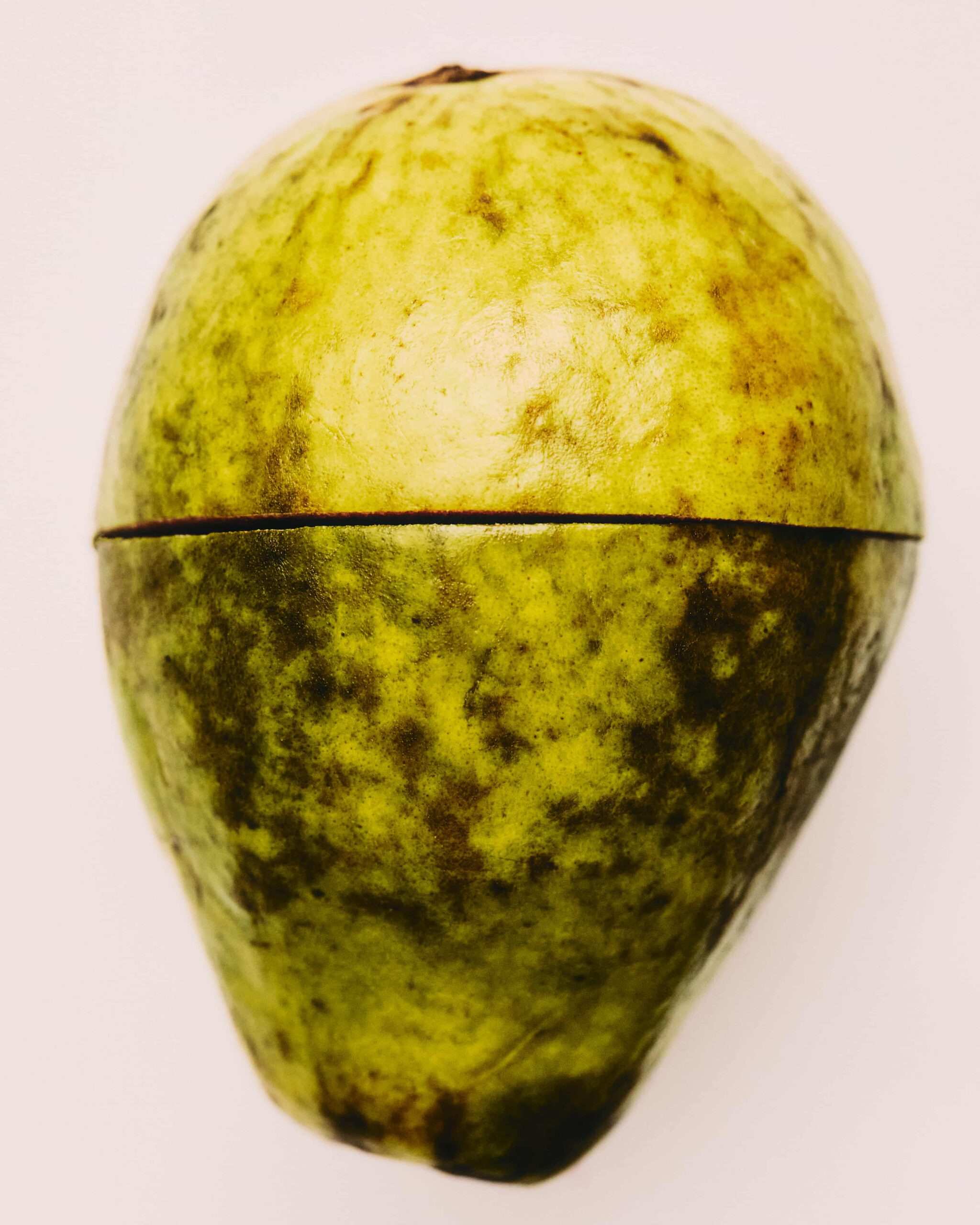 Infused by Nature, Loewe Perfumes