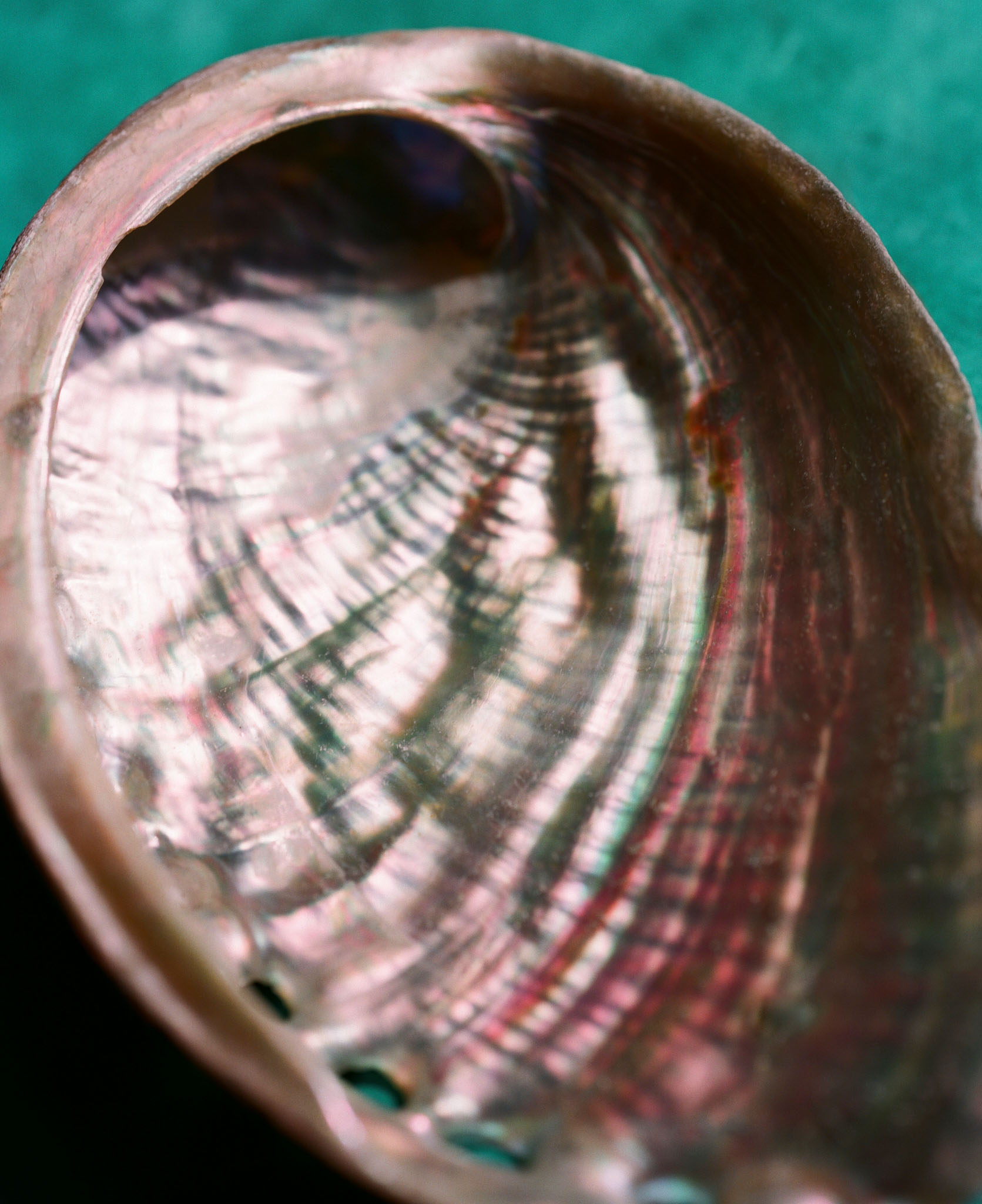 Artefacts as Monuments