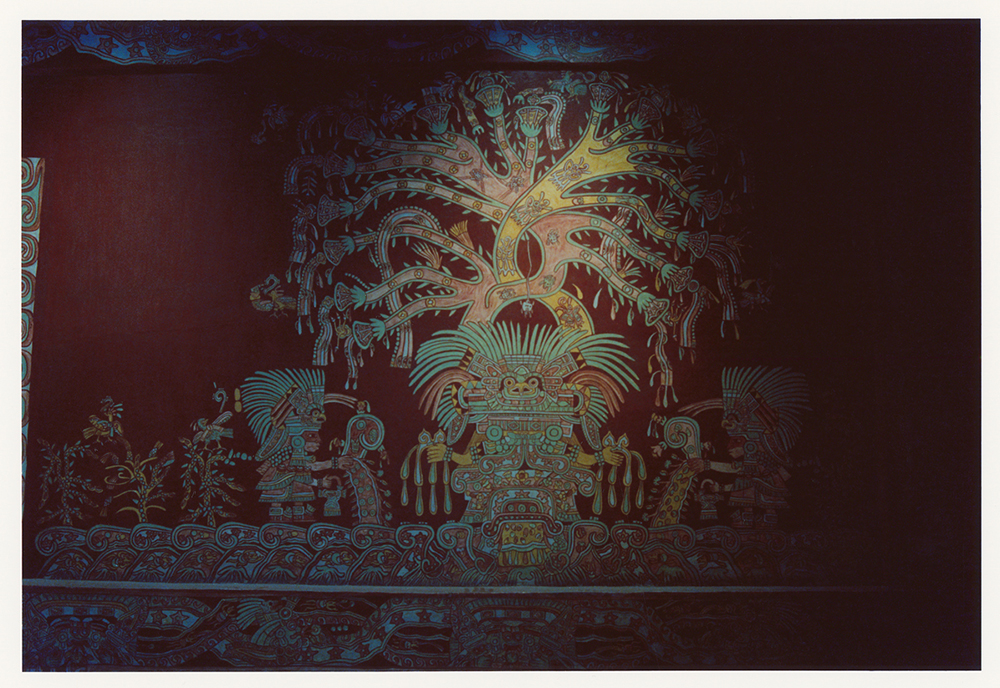 Genesis: The Creation Amongst the Peoples of Mexico