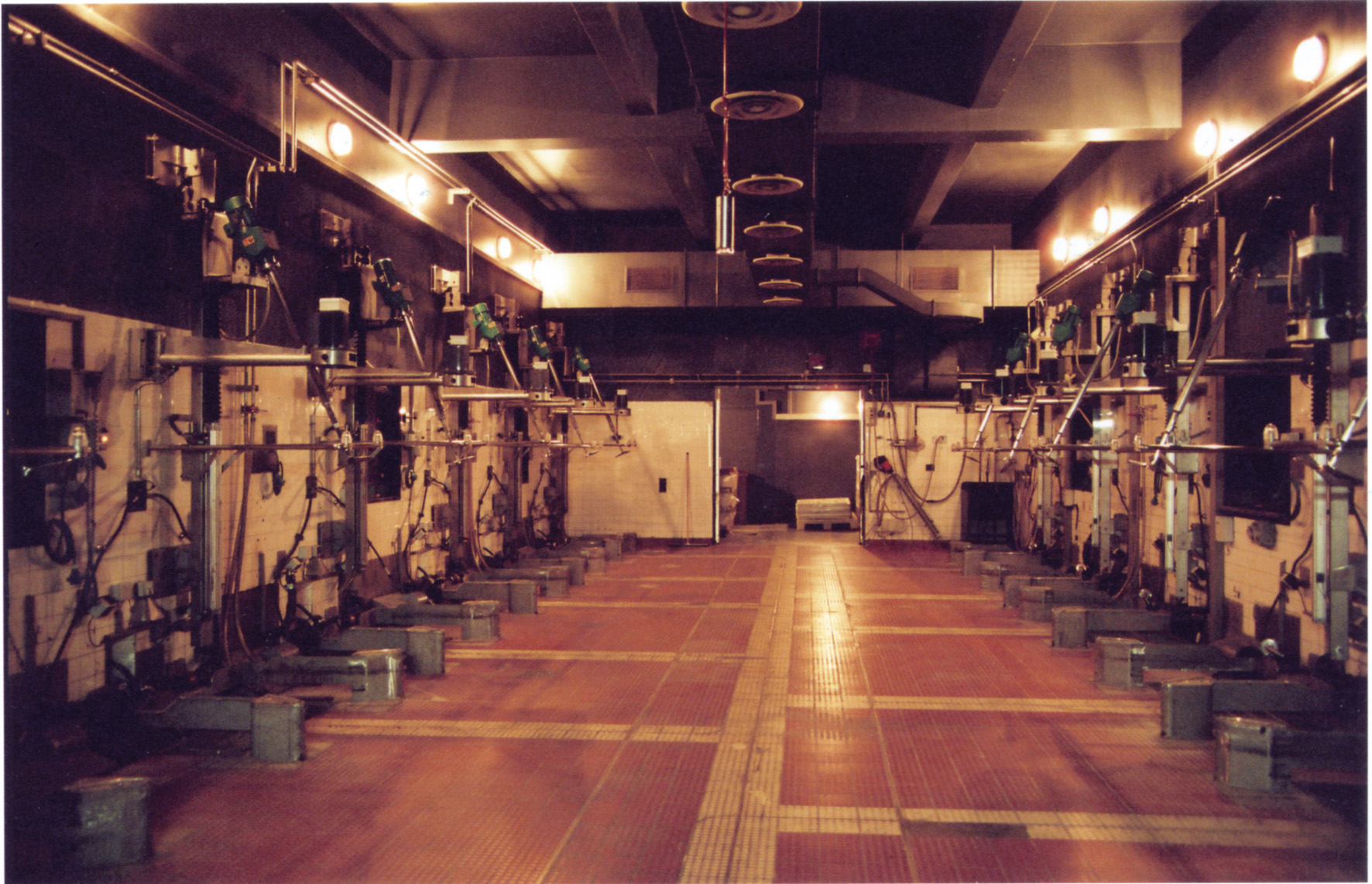 Tacita Dean and the Art of the Beginning