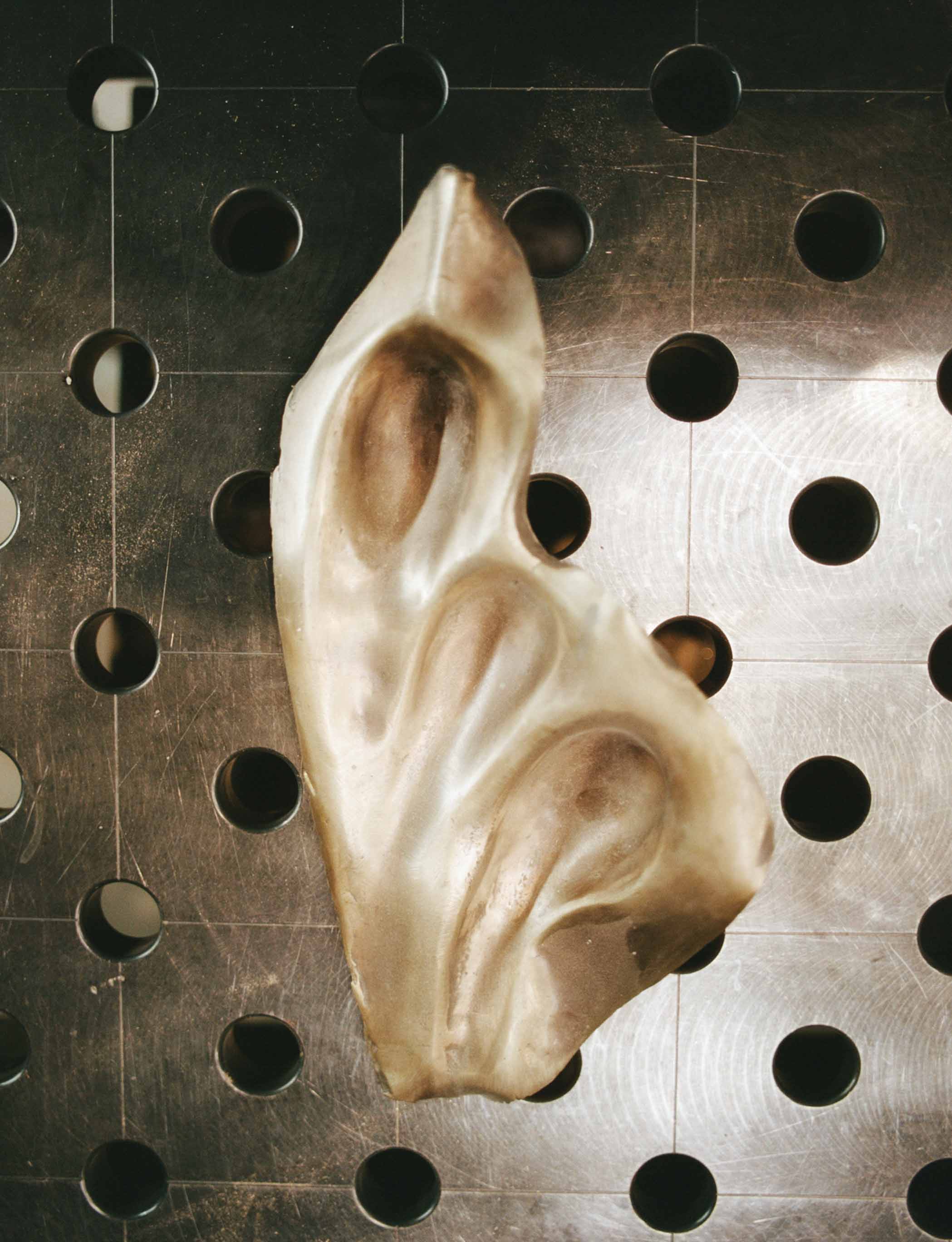 Cristina Iglesias: Lost Rivers