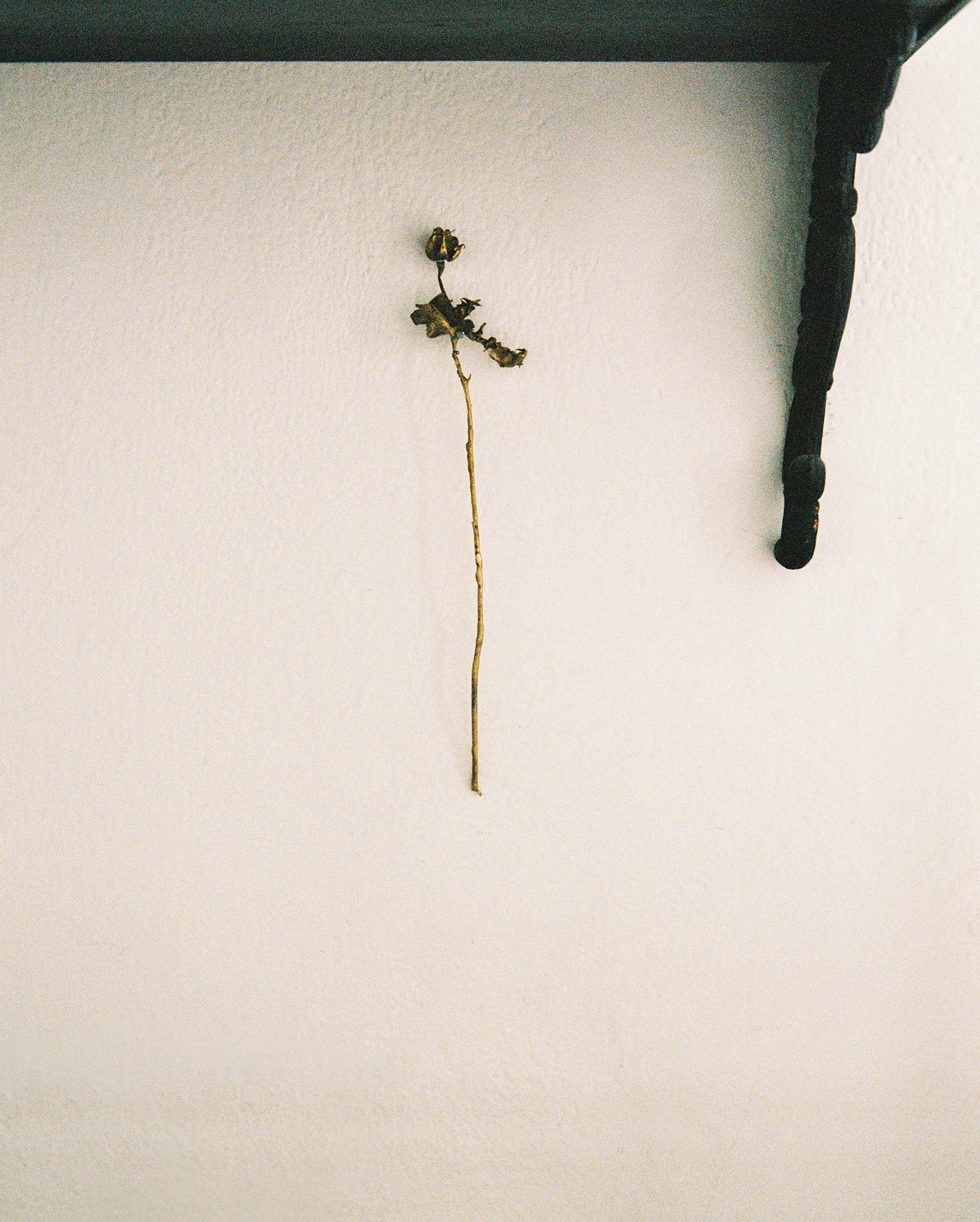 Perla Krauze, Arranging Constellations