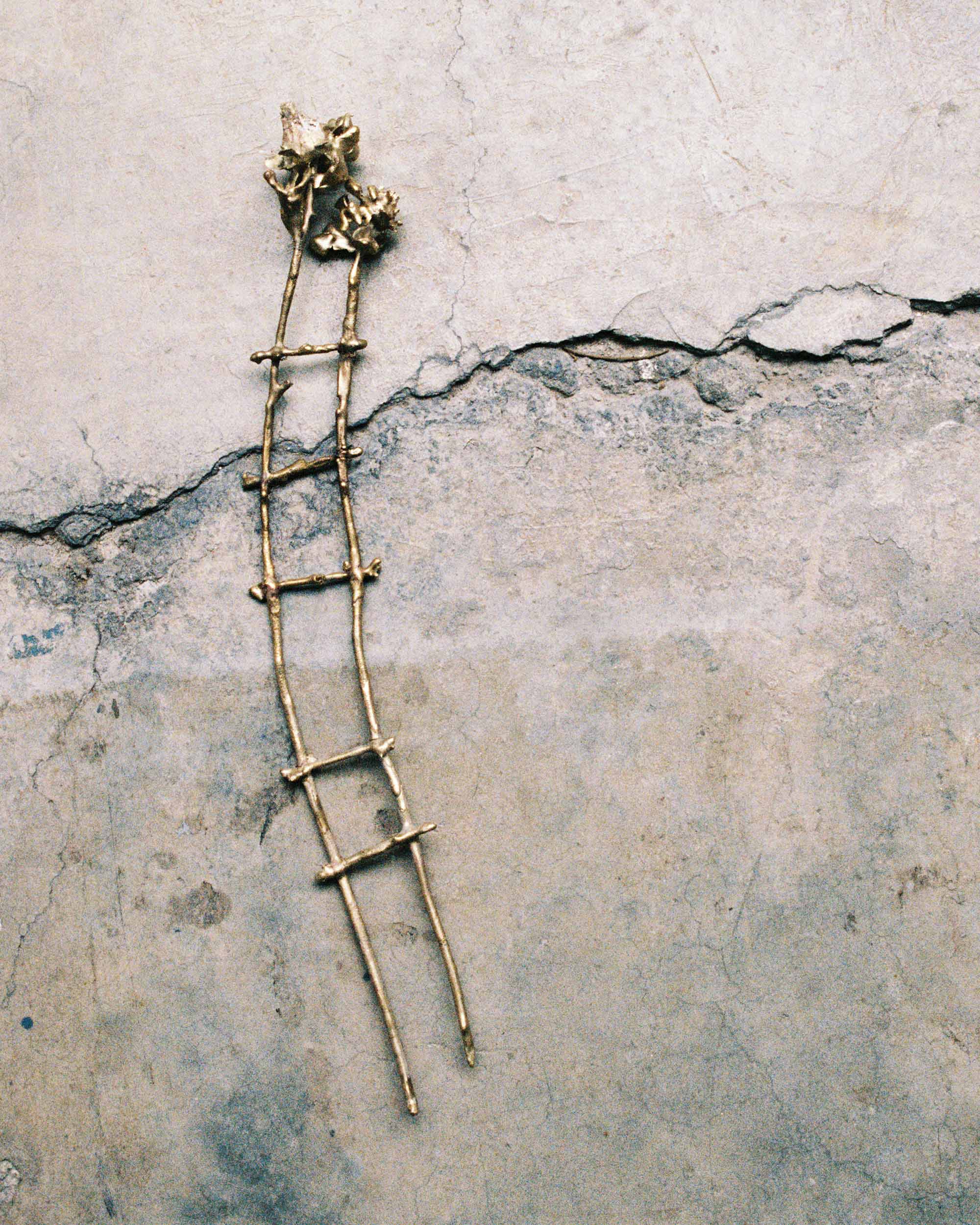 Perla Krauze, Arranging Constellations