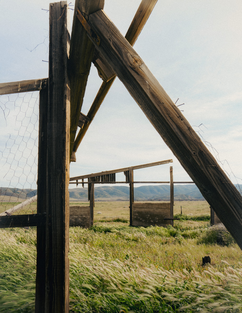 Venna: Flow with the River