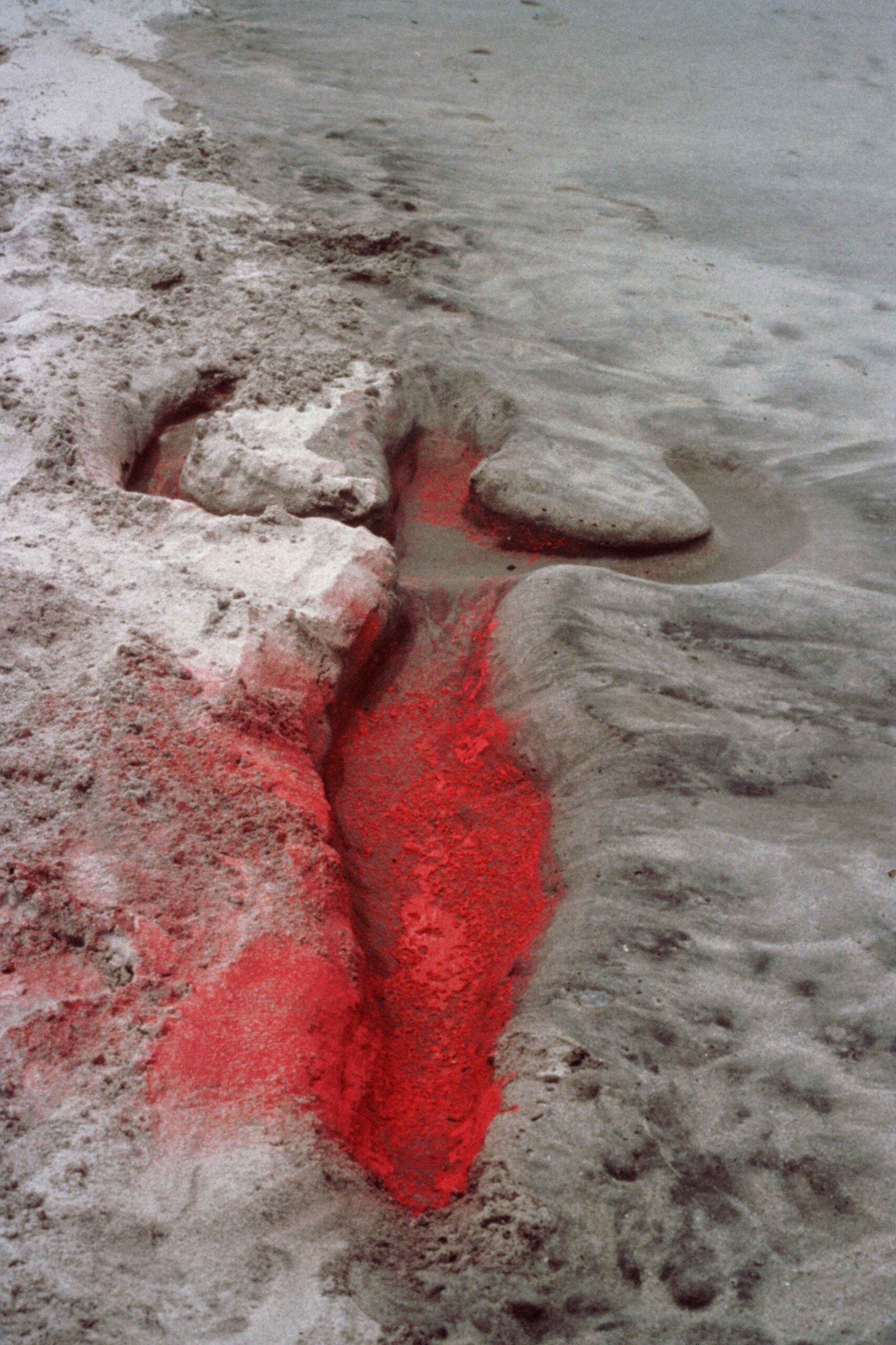 Ana Mendieta: The Tree of Life