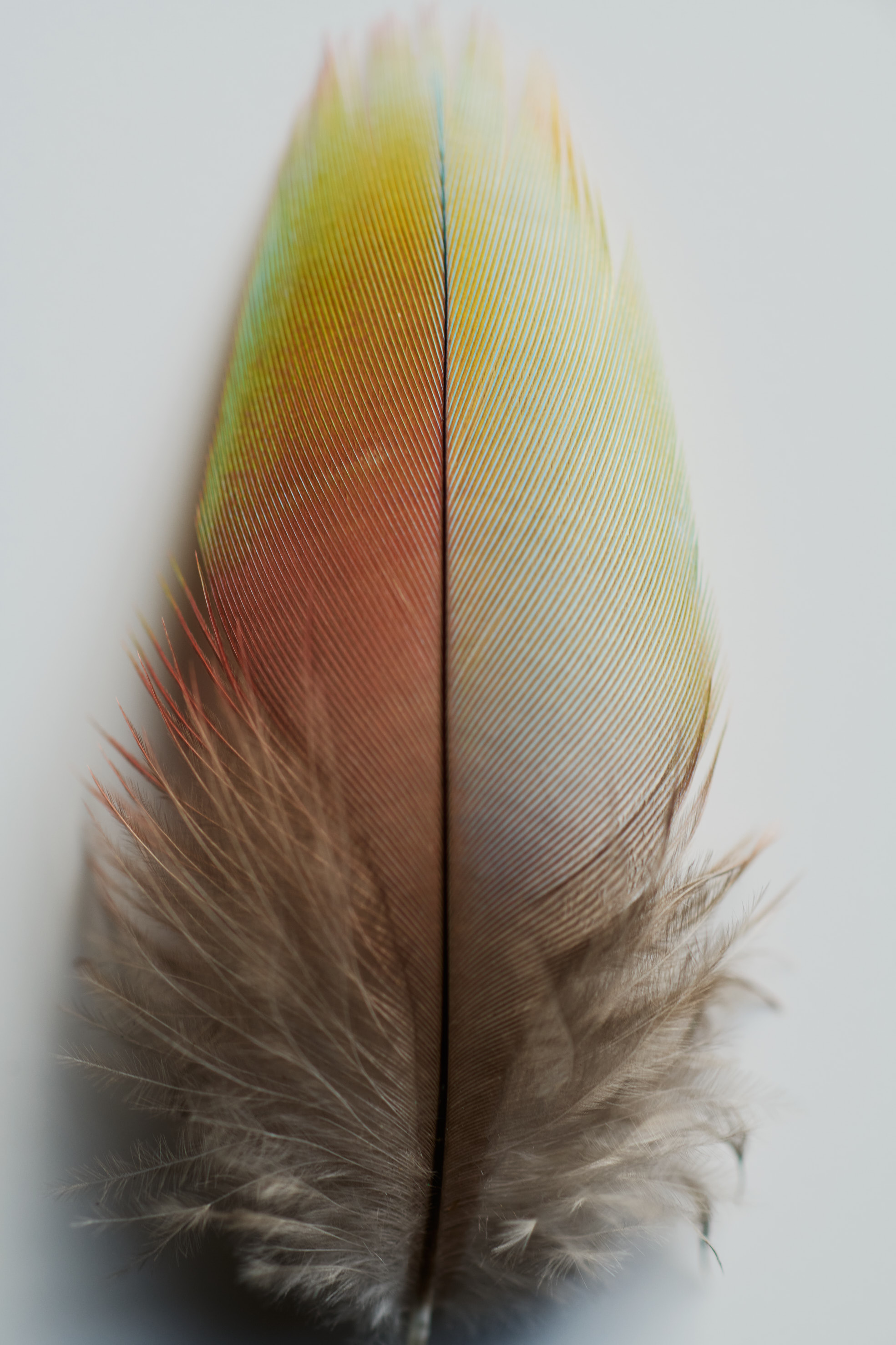 Robert Smithson: Entropic Landscapes