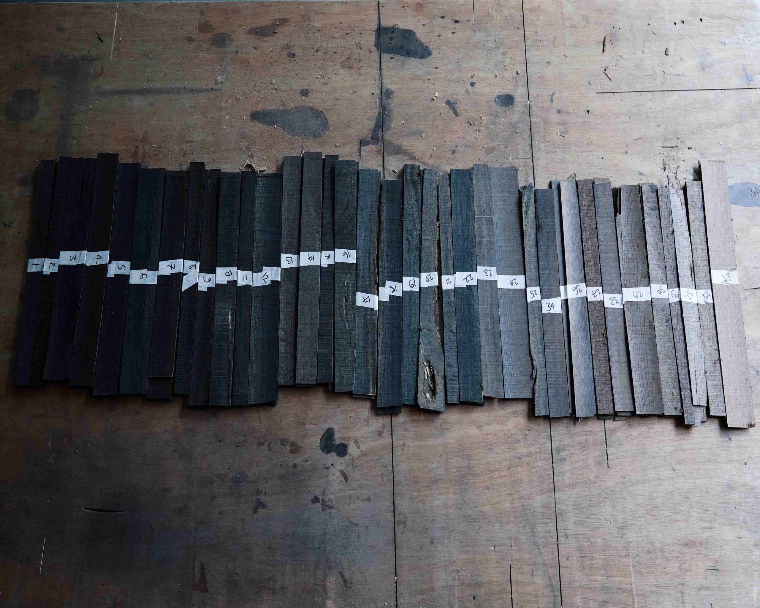 Wycliffe Stutchbury: The Inner Stories of Trees