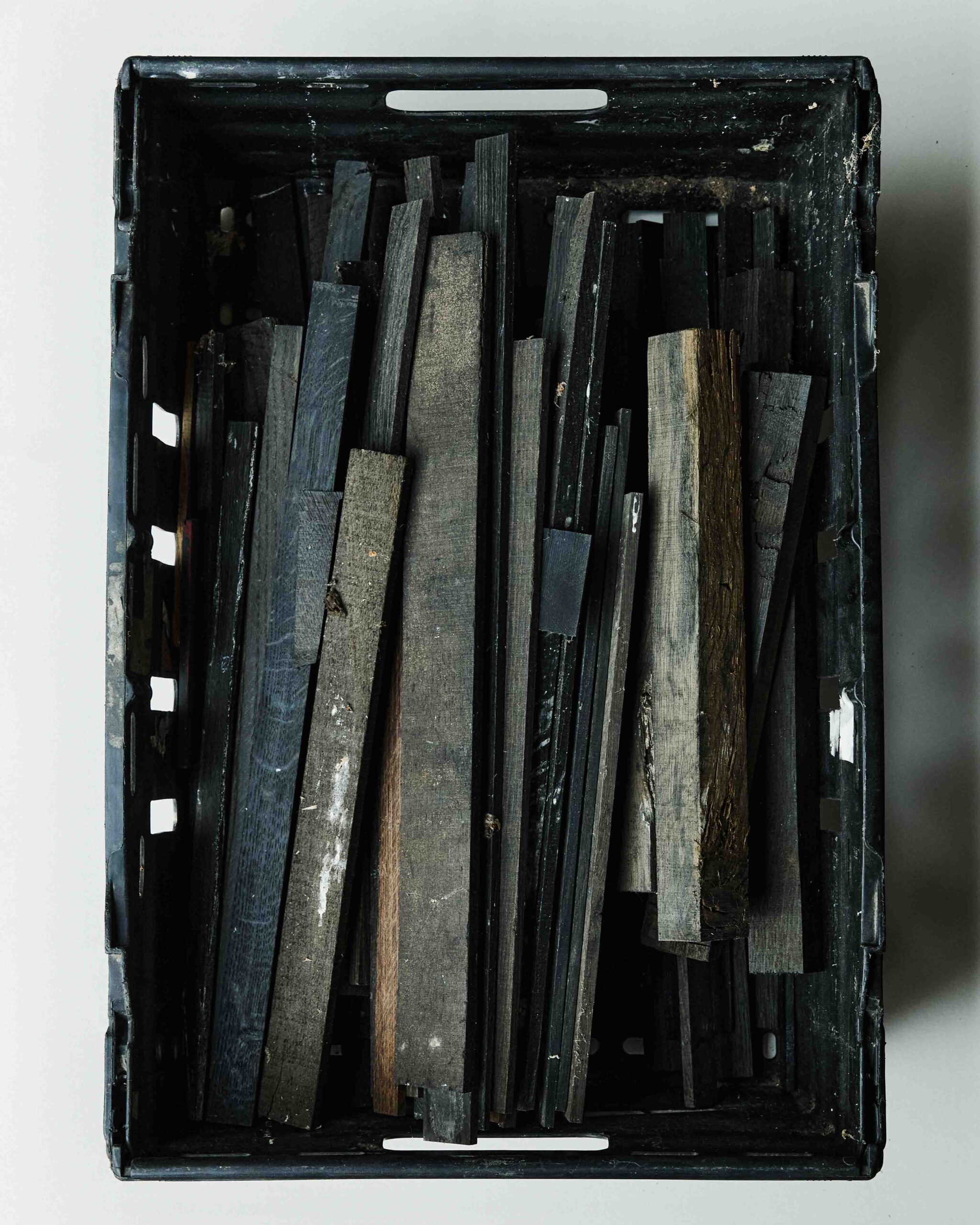 Wycliffe Stutchbury: The Inner Stories of Trees