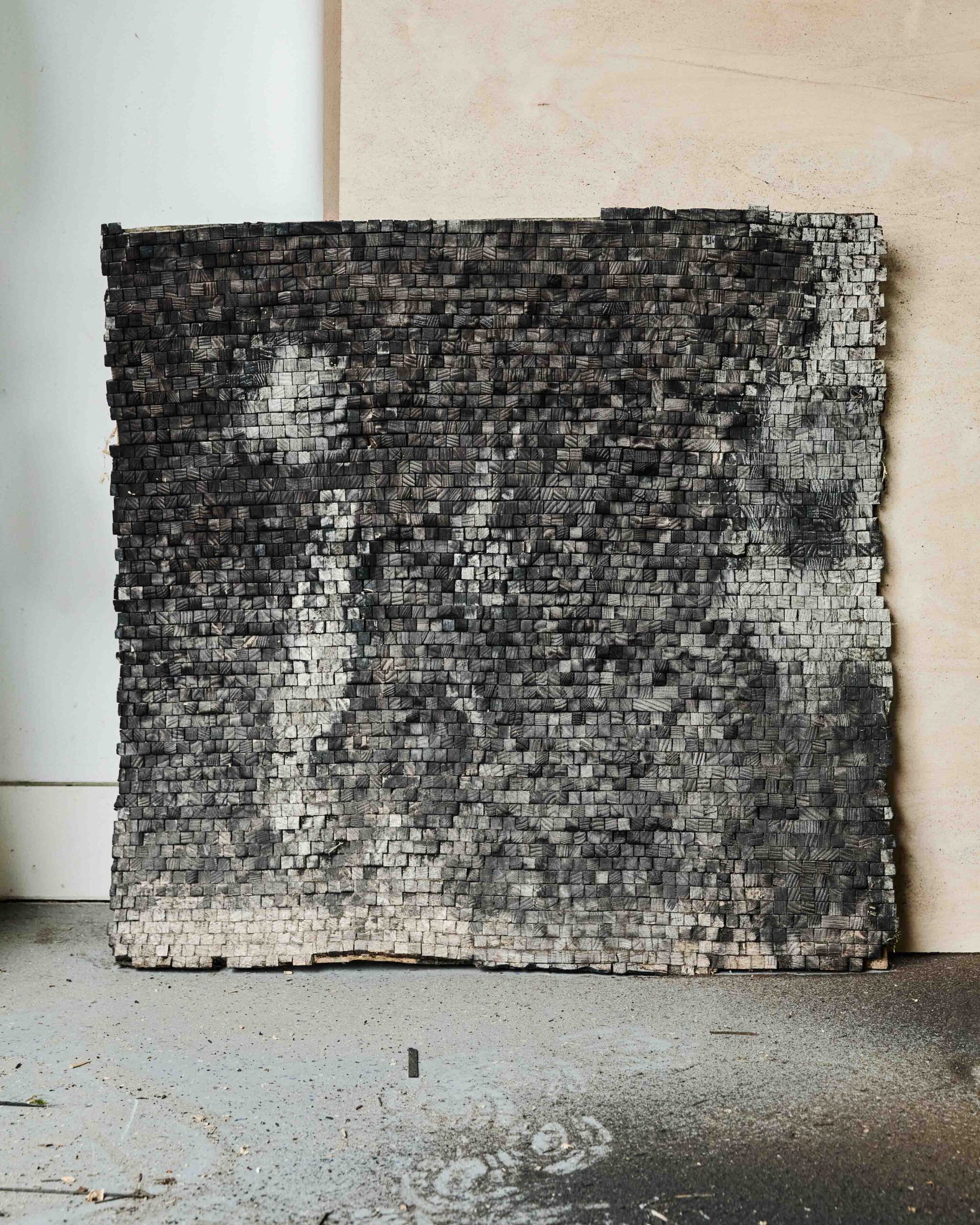 Wycliffe Stutchbury: The Inner Stories of Trees