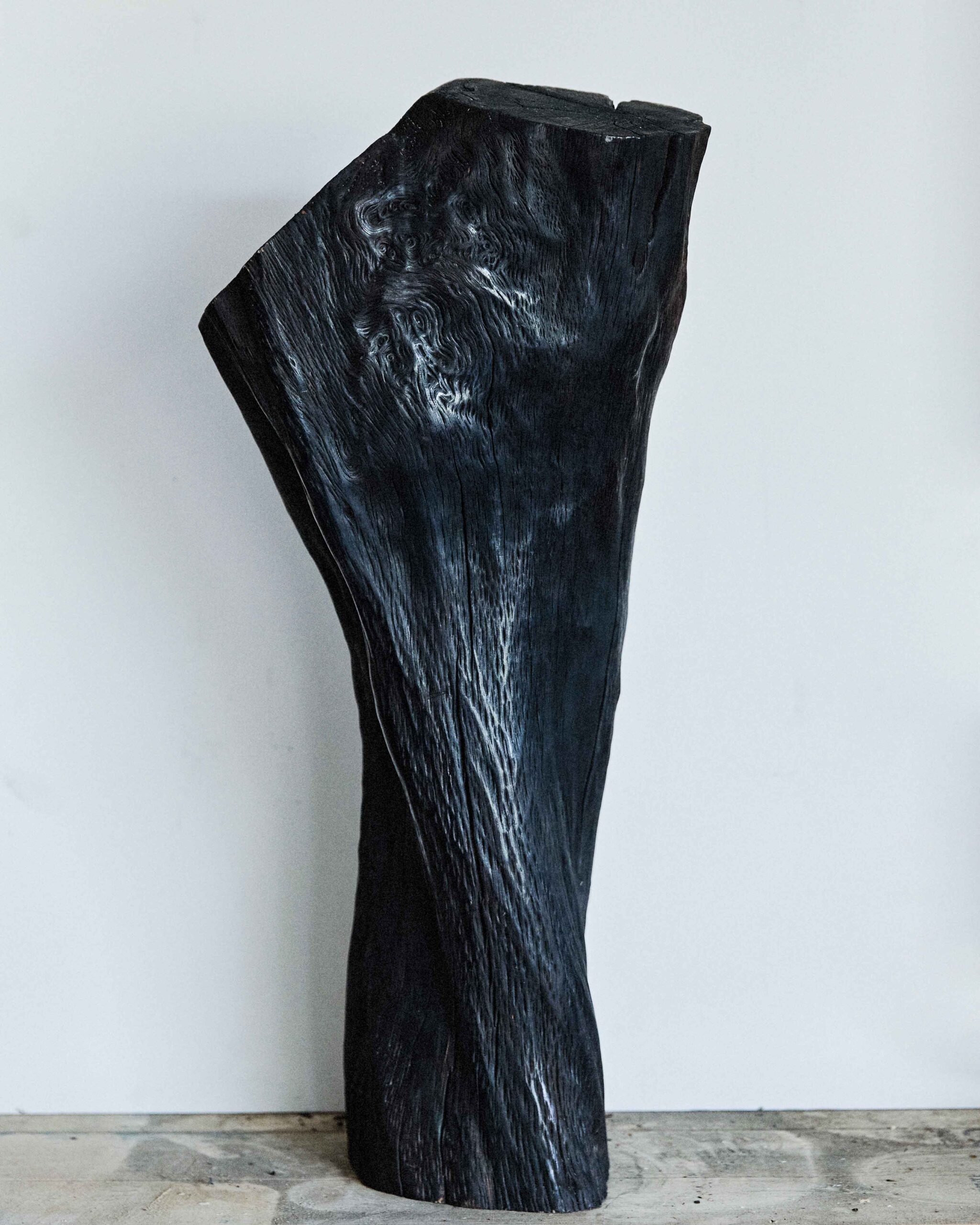 Wycliffe Stutchbury: The Inner Stories of Trees