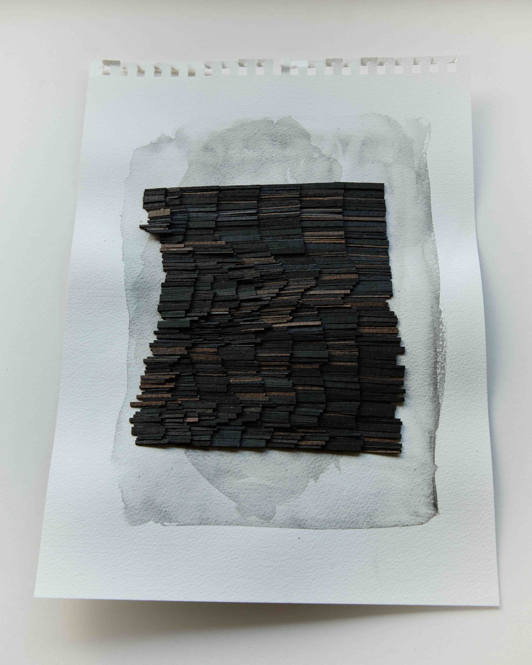 Wycliffe Stutchbury: The Inner Stories of Trees