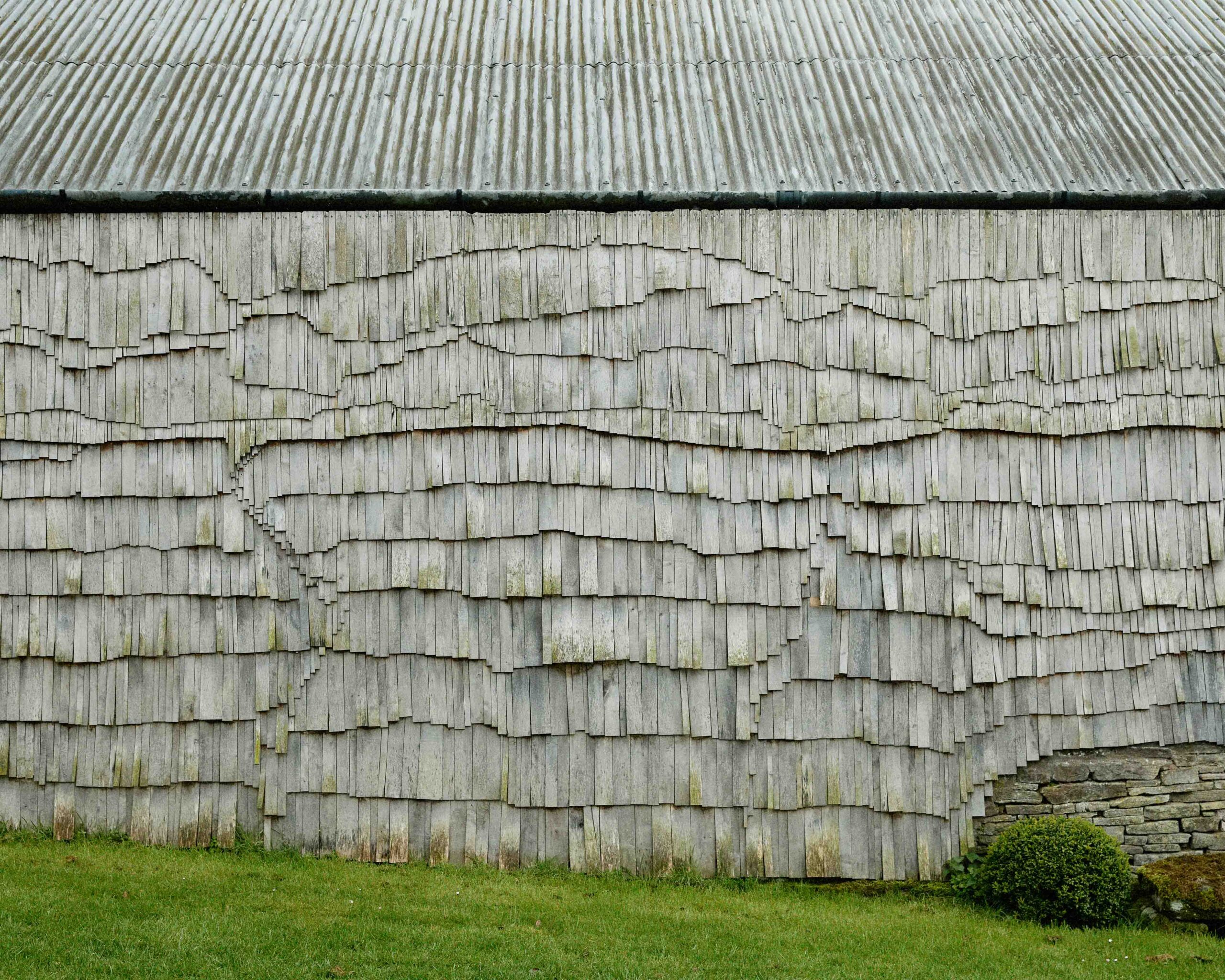 Wycliffe Stutchbury: The Inner Stories of Trees
