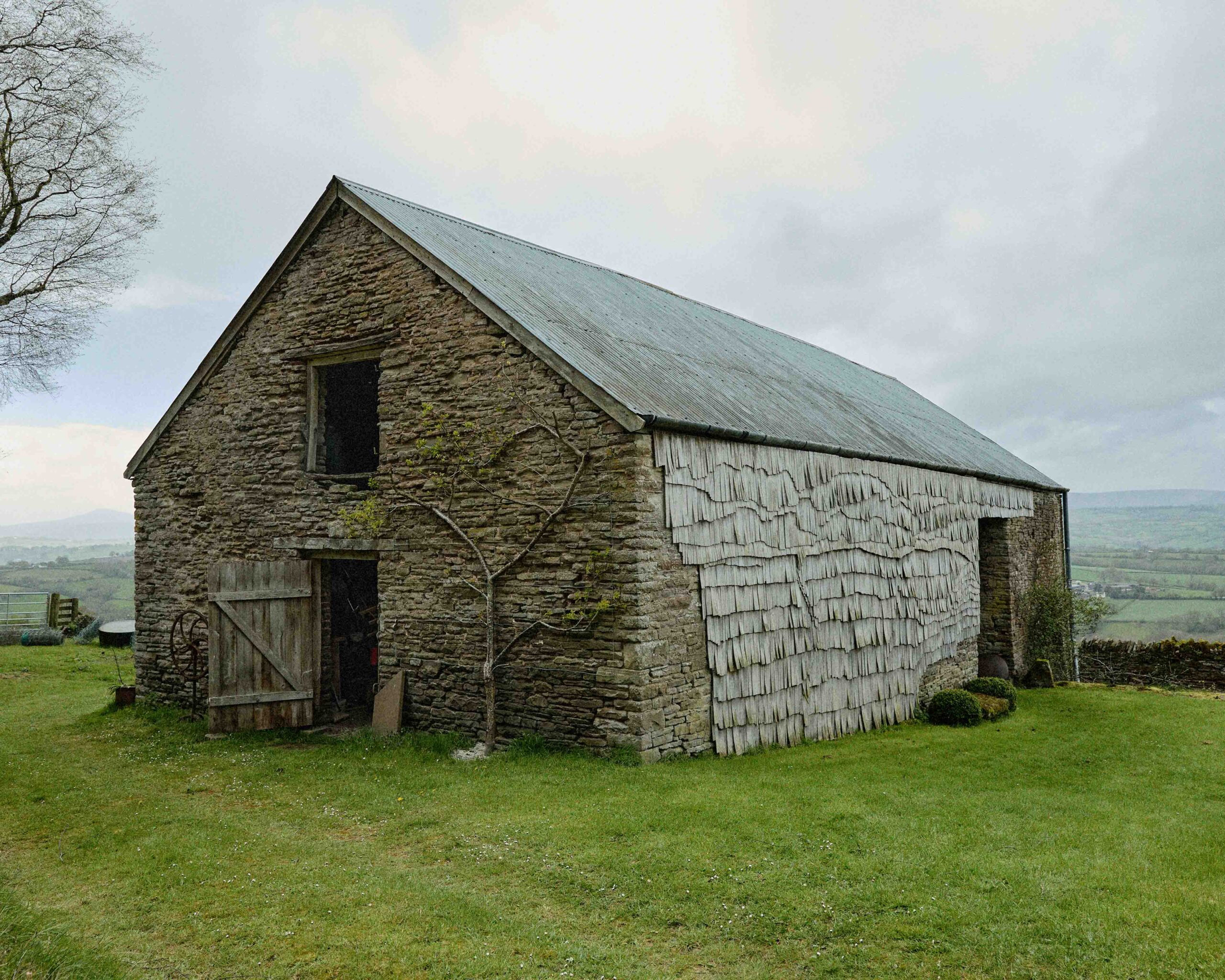 Wycliffe Stutchbury: The Inner Stories of Trees