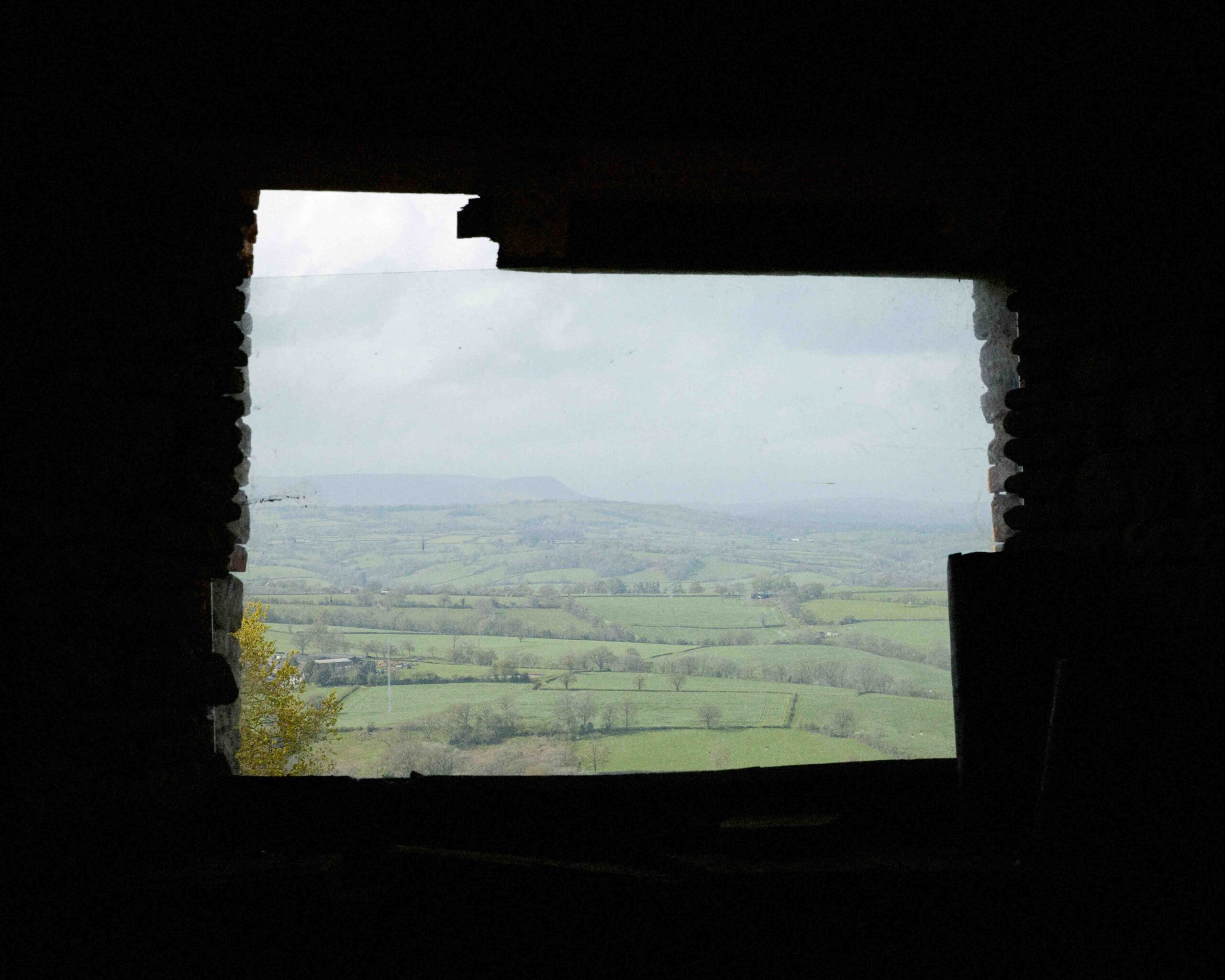 Wycliffe Stutchbury: The Inner Stories of Trees