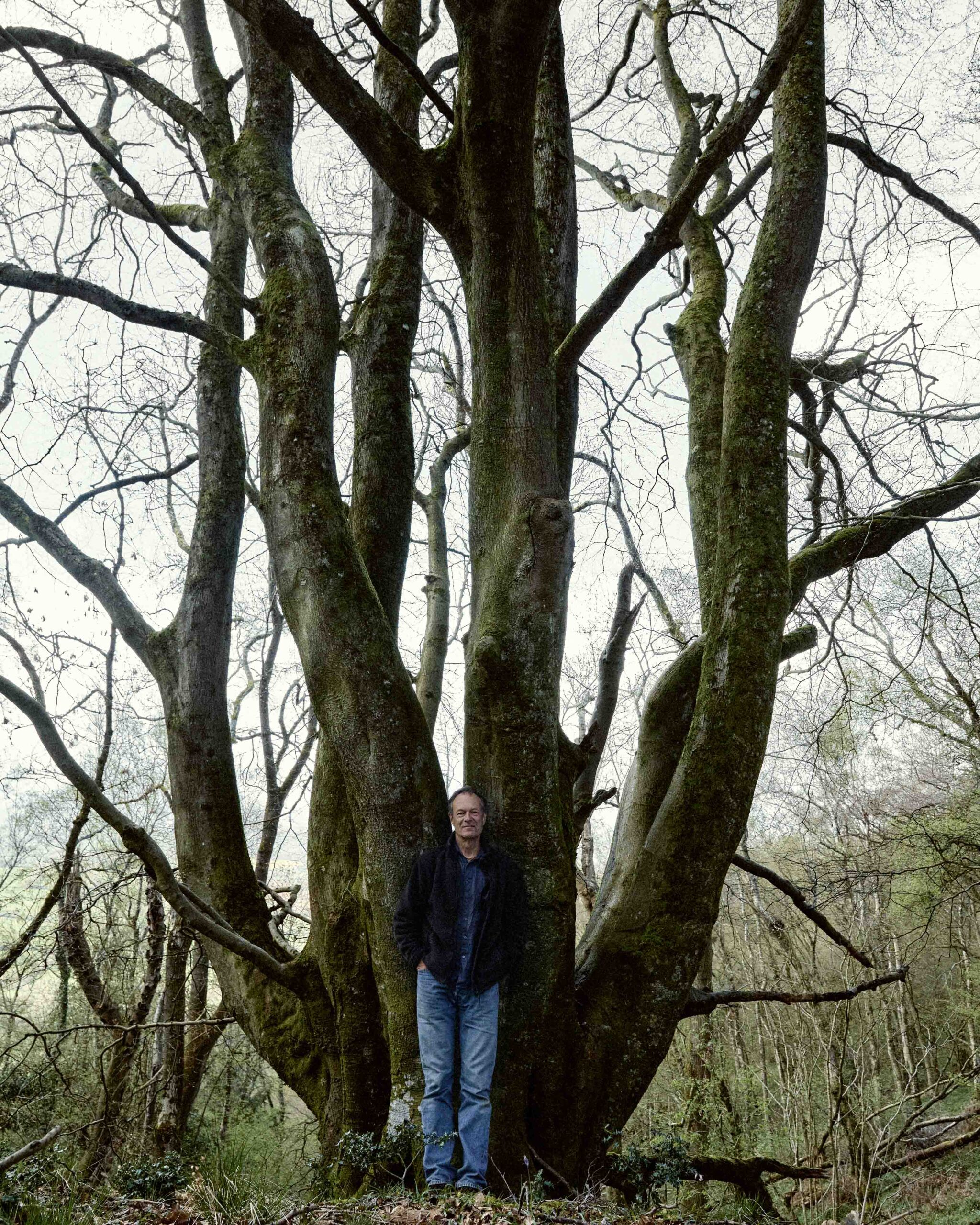 Wycliffe Stutchbury: The Inner Stories of Trees
