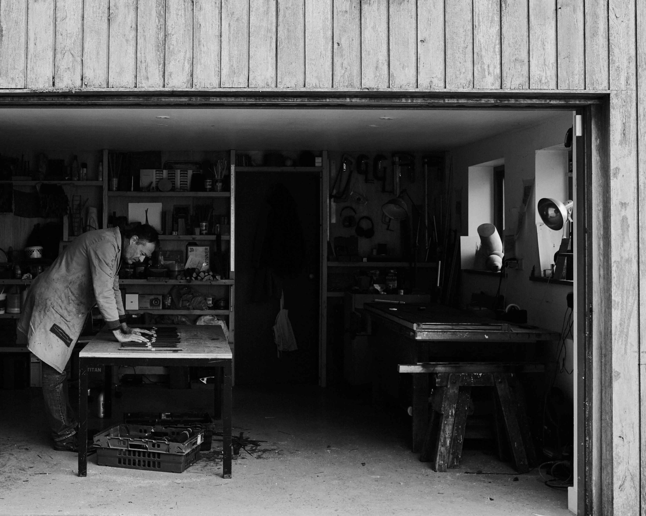 Wycliffe Stutchbury: The Inner Stories of Trees